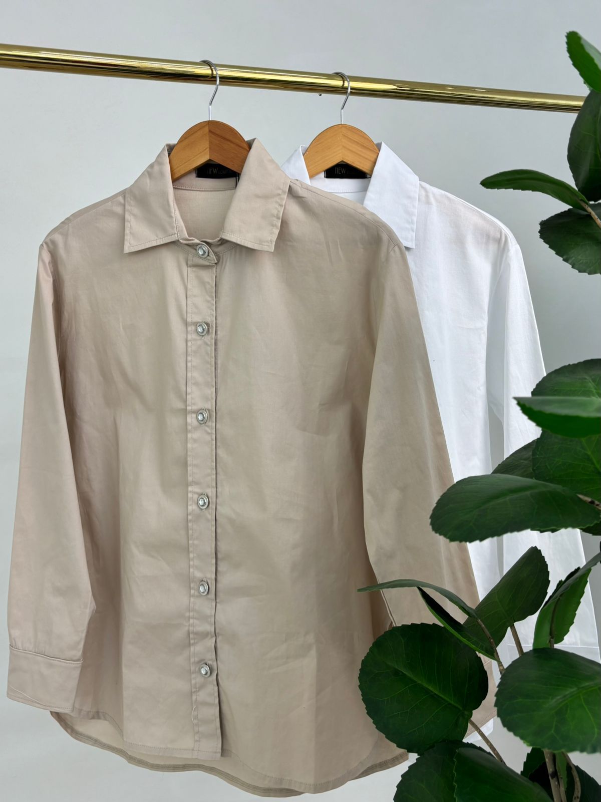 Camisa